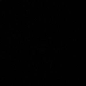 Meet your Posher, Parker